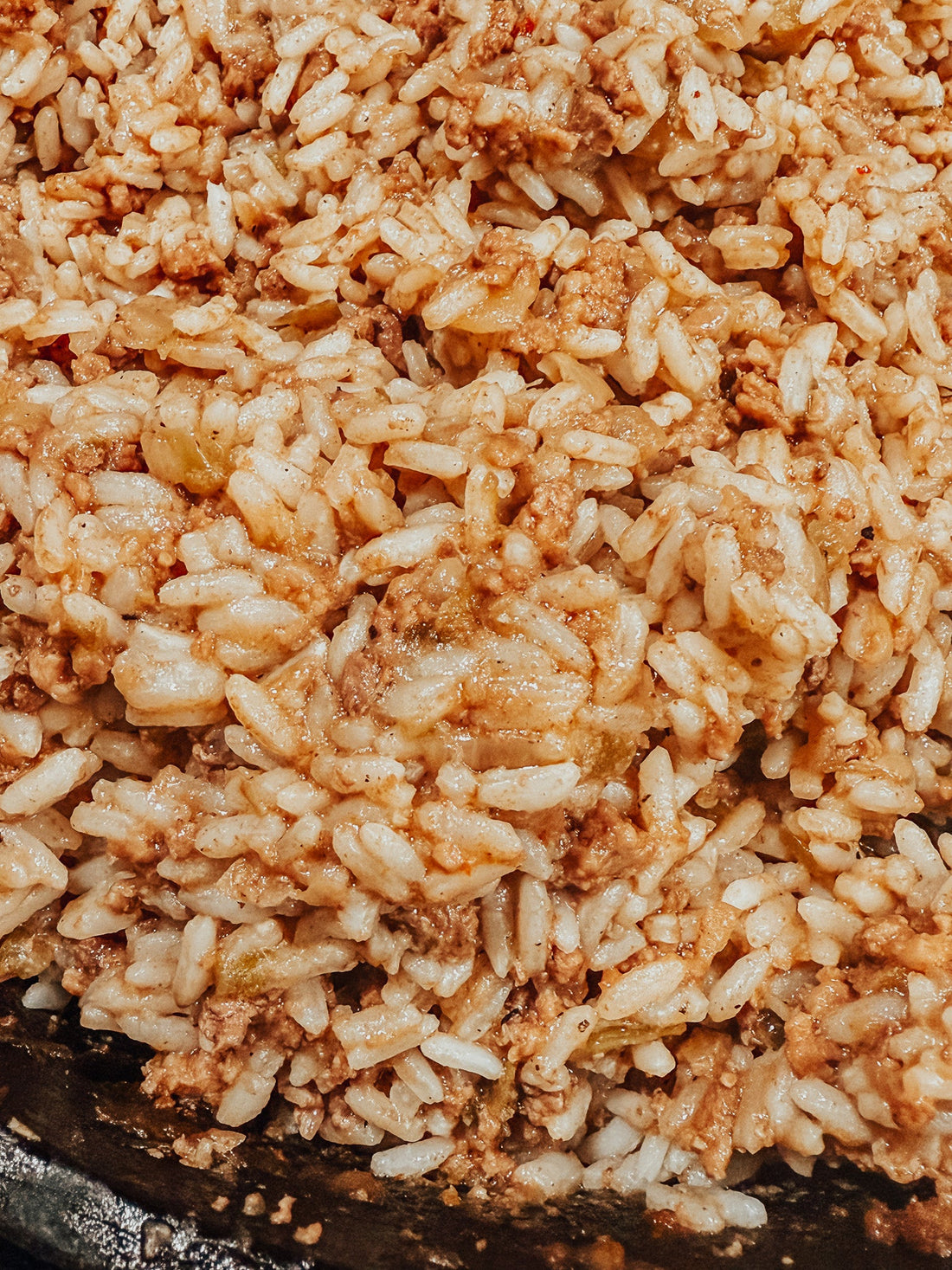closeup of dirty rice