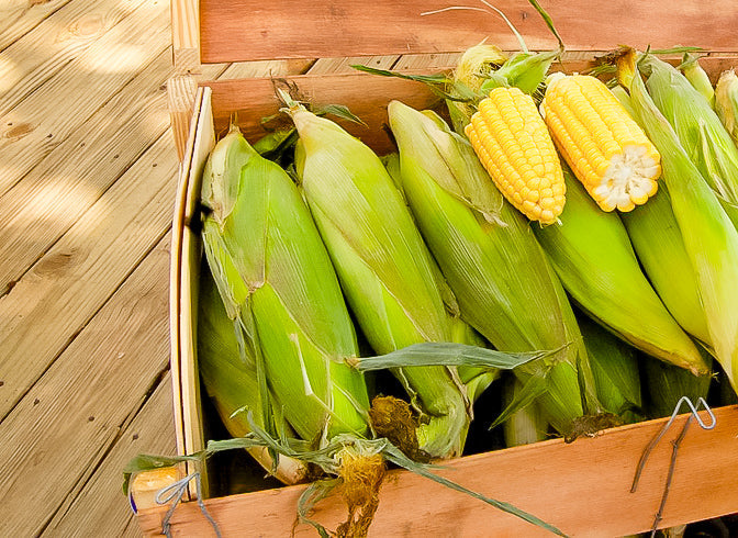 Grilled Corn with Honey Garlic Dust Butter: The Sweet-Savory Side You Didn’t Know You Needed