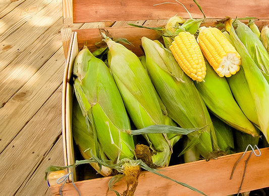Grilled Corn with Honey Garlic Dust Butter: The Sweet-Savory Side You Didn’t Know You Needed