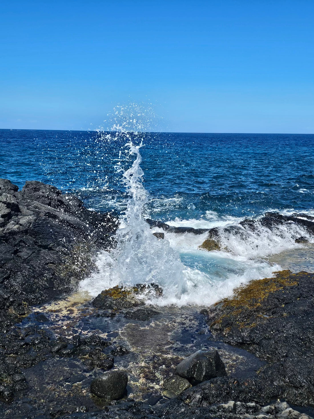 Discover the Magic of Kona Salt: Elevate Your Cooking with Hawaii’s Finest Sea Salt