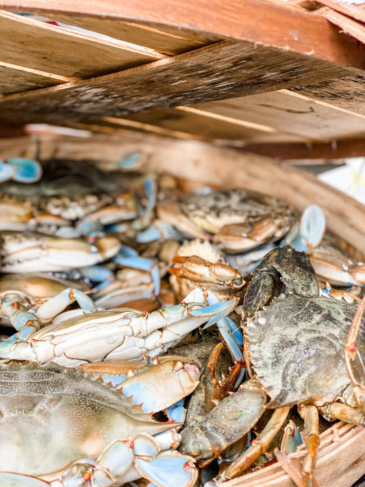 Everything you ever wanted to know about Blue Crabs & a little that you didn't